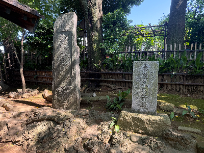 稲付城跡