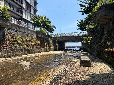 涼しい穴場