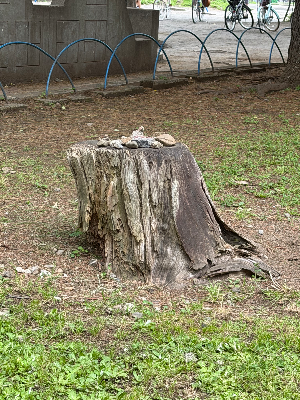 赤羽公園
